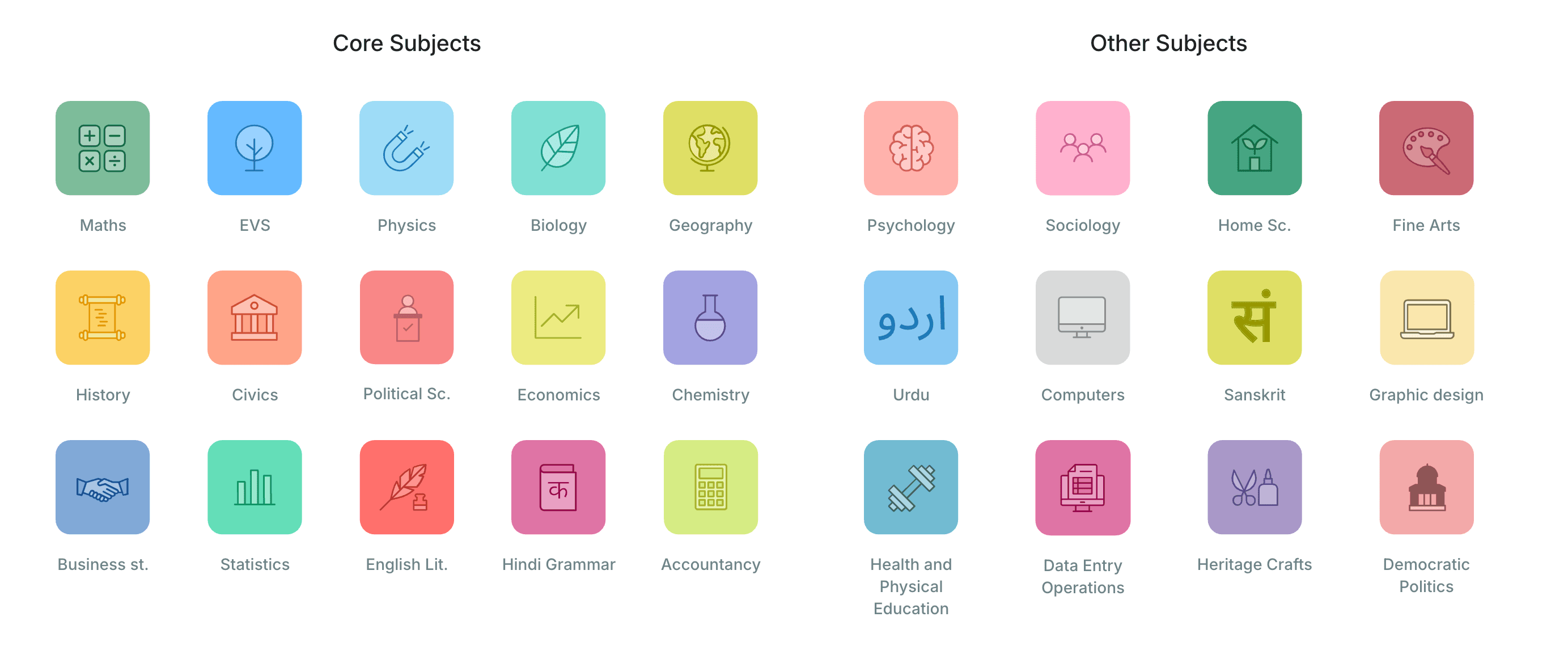 Core subjects (Maths, EVS, Physics, Biology, Geography, History, Civics, Political Science, Economics, Chemistry, Business Studies, Statistics, English Literature, Hindi Grammar, Accountancy) and other subjects (Psychology, Sociology, Home Science, Fine Arts, Urdu, Computers, Sanskrit, Graphic Design, Health and Physical Education, Data Entry Operations, Heritage Crafts, Democratic Politics)