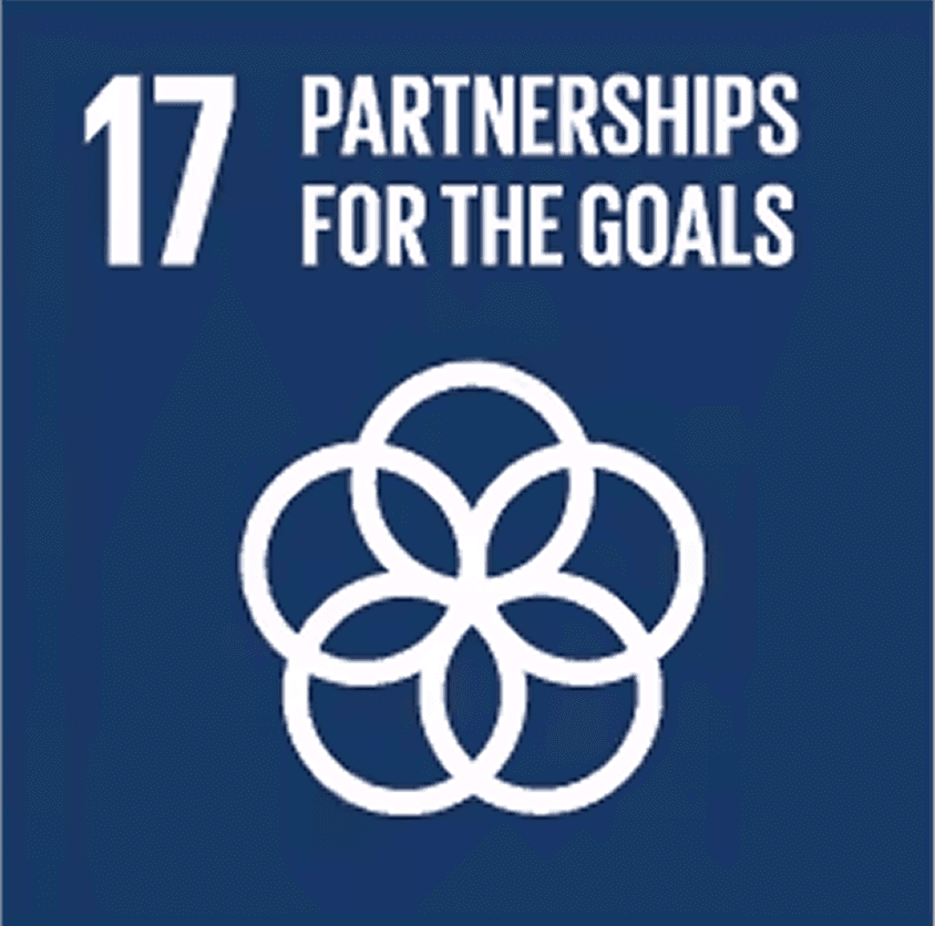 UN SDG 17: Partnerships for the Goals