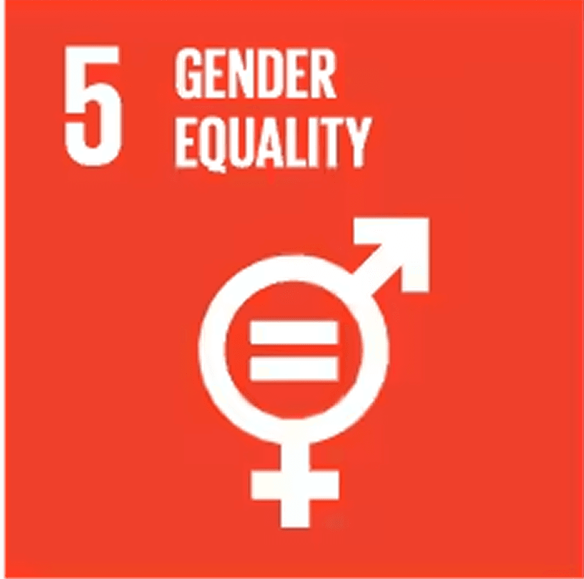 UN SDG 5: Gender Equality